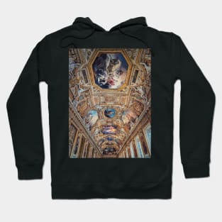 Galerie d'Apollon Hoodie